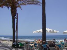 Resize of P21010034.JPG